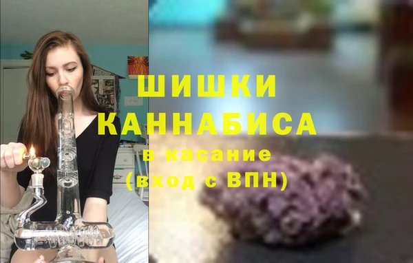 шишки Арсеньев