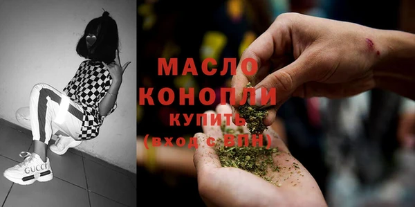 шишки Арсеньев