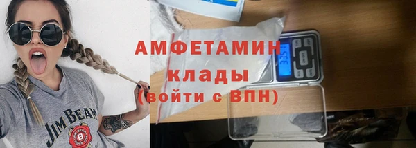 шишки Арсеньев