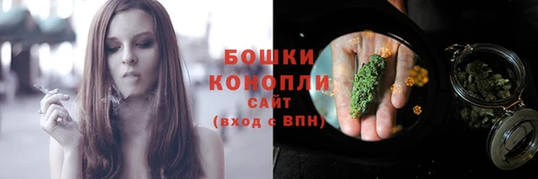 шишки Арсеньев