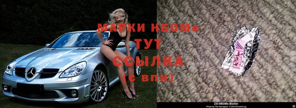 шишки Арсеньев