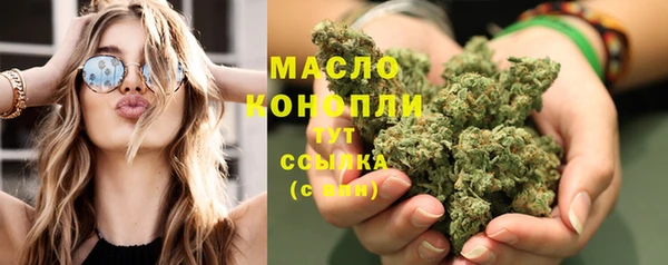 шишки Арсеньев