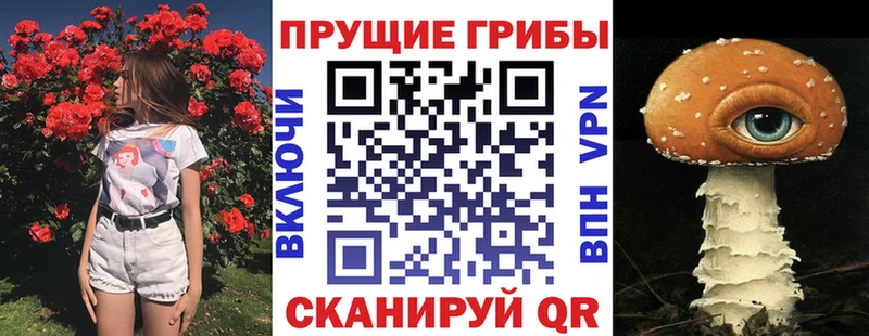 Псилоцибиновые грибы мухоморы  ОМГ ОМГ зеркало  Пугачёв 